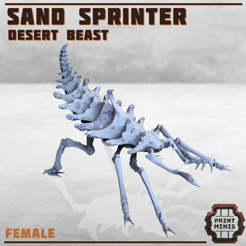 Sand Sprinters - Desert Beast Print Minis