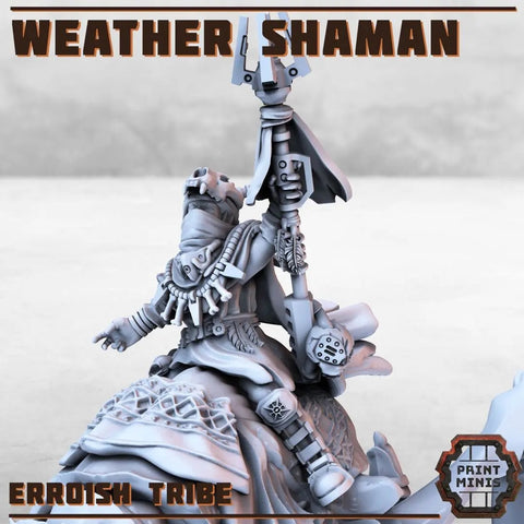 Erroish Tribe - Weather Shaman Print Minis