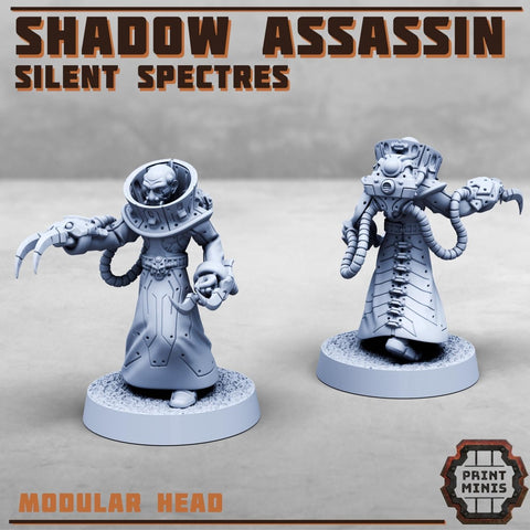Shadow Assassin - Silent Spectres - HamsterFoundry - Print Minis