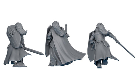 Silvermoon Daughters - Knights of the crescent - HamsterFoundry - DakkaDakka