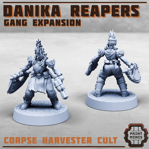 Danika Reapers Gang Extension - HamsterFoundry - Print Minis