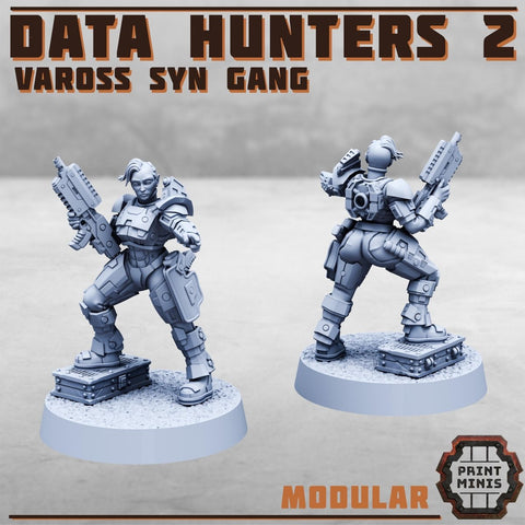 Data Hunters 2 - Vaross Syn Gang - HamsterFoundry - HamsterFoundry