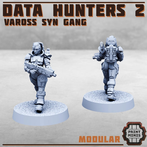 Data Hunters 2 - Vaross Syn Gang - HamsterFoundry - HamsterFoundry