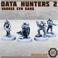 Data Hunters 2 - Vaross Syn Gang - HamsterFoundry - HamsterFoundry