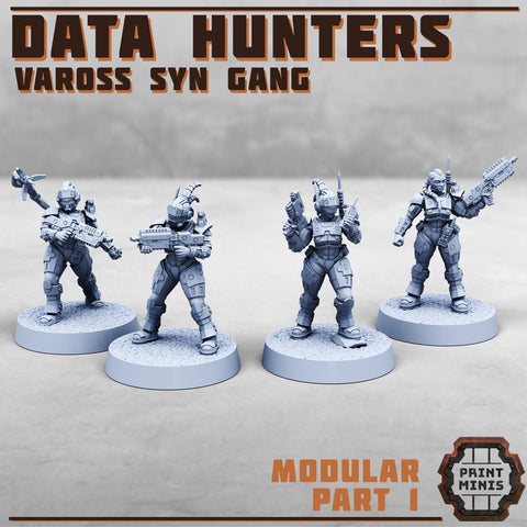 Data Hunters - Vaross Syn Gang - HamsterFoundry - HamsterFoundry