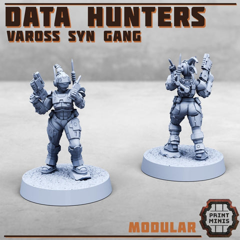 Data Hunters - Vaross Syn Gang - HamsterFoundry - HamsterFoundry