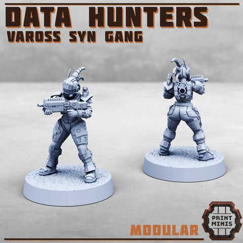 Data Hunters - Vaross Syn Gang - HamsterFoundry - HamsterFoundry