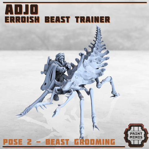 Adjo - Erroish Beast Trainer Print Minis