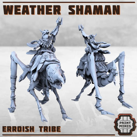 Erroish Tribe - Weather Shaman Print Minis