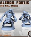 Kaledon Fortis - elite troops - HamsterFoundry - Print Minis