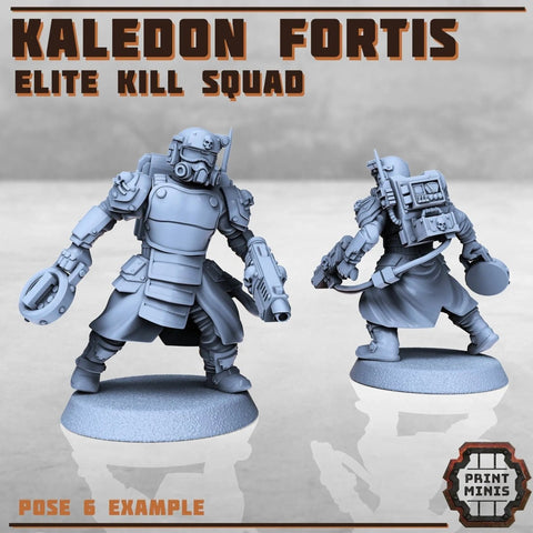 Kaledon Fortis - elite troops - HamsterFoundry - Print Minis