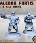 Kaledon Fortis - elite troops - HamsterFoundry - Print Minis