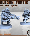 Kaledon Fortis - elite troops - HamsterFoundry - Print Minis