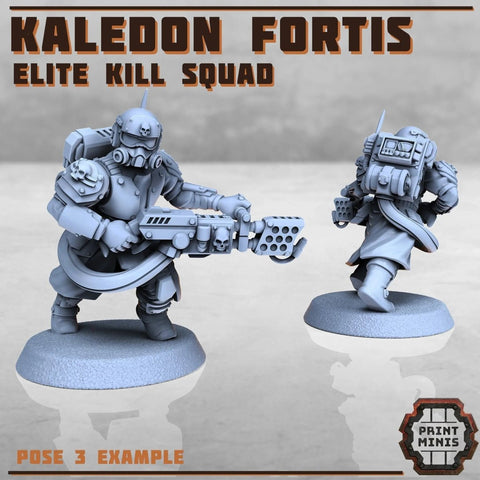 Kaledon Fortis - elite troops - HamsterFoundry - Print Minis