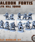 Kaledon Fortis - elite troops - HamsterFoundry - Print Minis