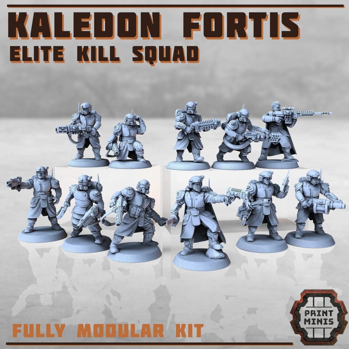 Kaledon Fortis - elite troops - HamsterFoundry - Print Minis