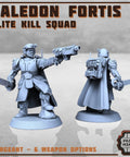 Kaledon Fortis - elite troops - HamsterFoundry - Print Minis