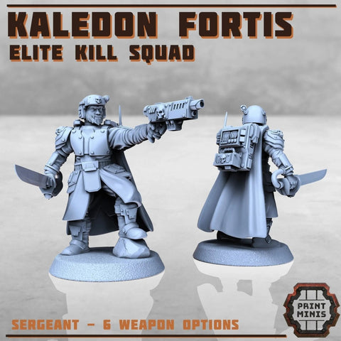 Kaledon Fortis - elite troops - HamsterFoundry - Print Minis