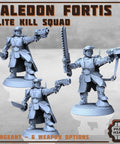 Kaledon Fortis - elite troops - HamsterFoundry - Print Minis