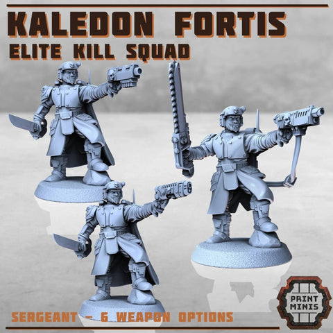 Kaledon Fortis - elite troops - HamsterFoundry - Print Minis