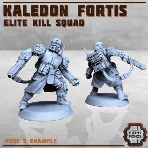 Kaledon Fortis - elite troops - HamsterFoundry - Print Minis