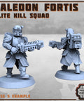 Kaledon Fortis - elite troops - HamsterFoundry - Print Minis