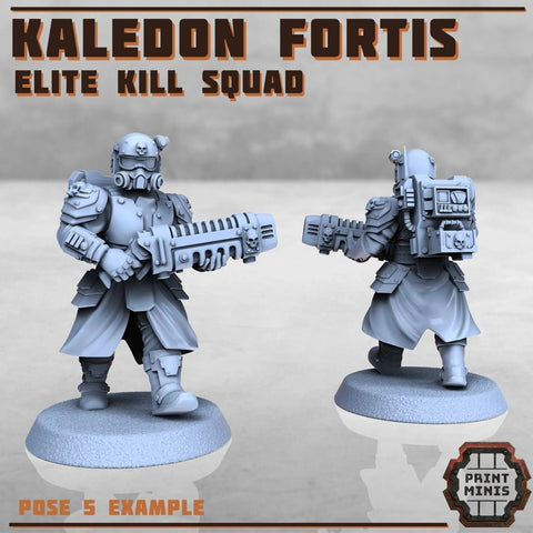 Kaledon Fortis - elite troops - HamsterFoundry - Print Minis