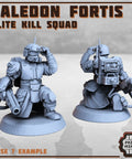 Kaledon Fortis - elite troops - HamsterFoundry - Print Minis