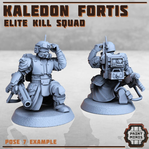 Kaledon Fortis - elite troops - HamsterFoundry - Print Minis