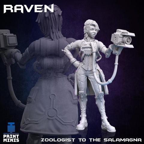 Raven - Zoologist - HamsterFoundry - Print Minis