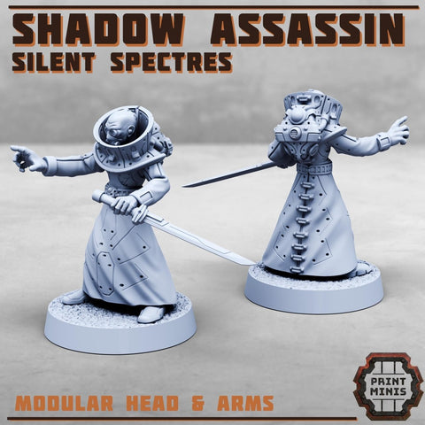 Shadow Assassin - Silent Spectres - HamsterFoundry - Print Minis